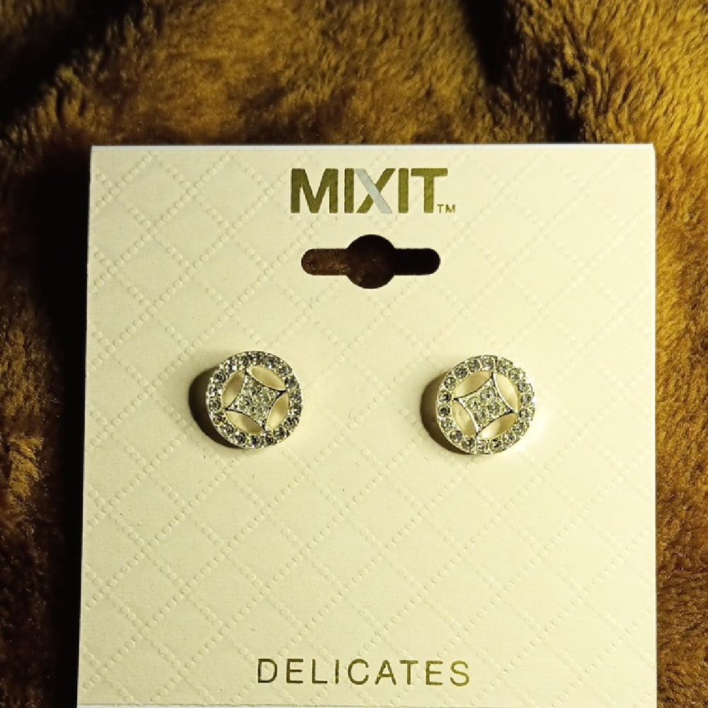 Chic Silver Stud Earrings